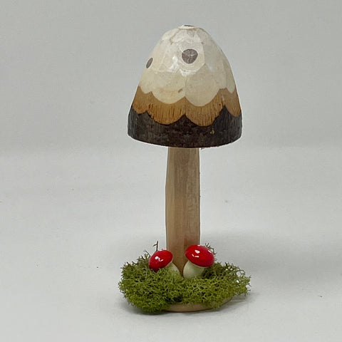 Tall Mushrooms