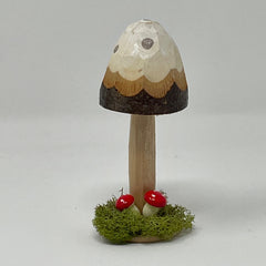 Tall Mushrooms