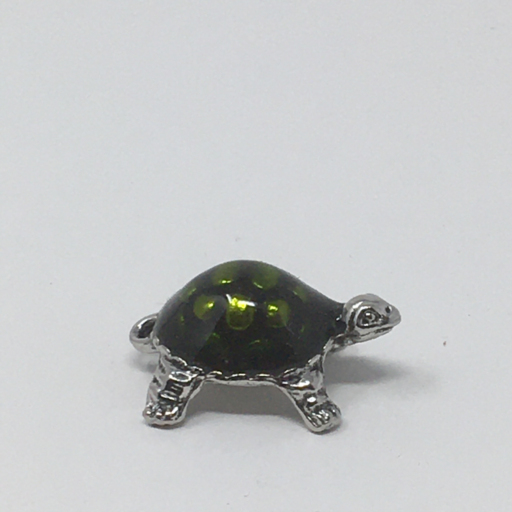 Turtle Token